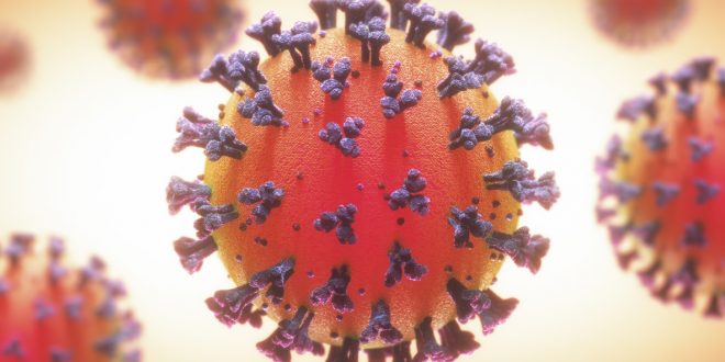 Este coronavirus, requiere de toda ayuda para prevenir y combatir…